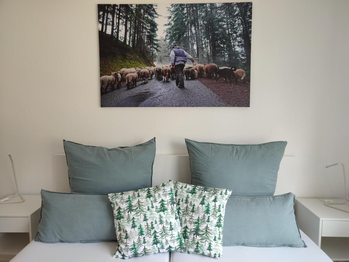 Steepleview House Bed and Breakfast Bad Peterstal-Griesbach Buitenkant foto